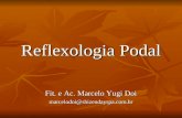 Reflexoterapia Podal_Prof Marcelo Doi