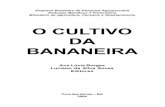 Livro O Cultivo Da Bananeira EMBRAPA