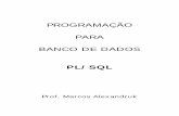 PROGRAMAÇÃO PARA BANCO DE DADOS PLSQL