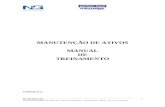 Manual Treinamento 811_F2.doc