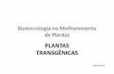 Biotecnologia no Melhoramento de Plantas_Plantas transgênicas
