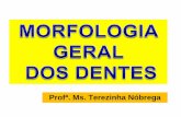 Morfologia Geral Dos Dentes