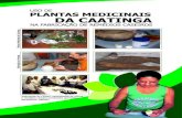 Plantas Medicinais Da Caatinga