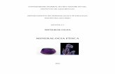 Apostila 1 Mineralogia PDF