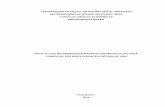 Monografia - Impacto dos determinantes macroecônomicos na balança comercial dos BRIC's durante a década de 2000