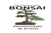 Bonsai-Miniaturizacao de Arvores