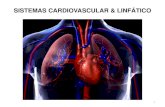 AC_Aparelho Cardiovascular-Respiratório