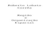 2 Regiao e Organizacao Espacial Roberto Lobato Correa