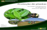 Tecnologia e Equipamentos de Aplicação de Defensivos Agrícolas.pdf