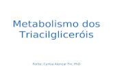 15 Metabolismo Dos Triacilglicerois