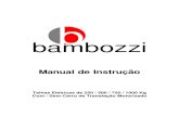 Bambozzi Talha Eletrica Manual de Instrucao 439669