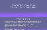 Biofísica e a função renal.