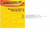 FTD Matematica Caderno de Atividades 02