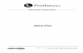 Protheus 10 - Ativo Fixo