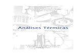 APOSTILA - ANÁLISE TÉRMICA.pdf