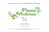 plantas-med-web maringá