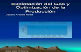 Explotacion Del Gas