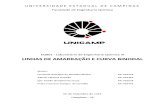Relatório - Linhas de Amarração & Curva Binodal - FEQ EQ801 - UNICAMP - Grupo 2