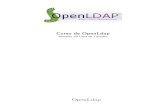 Protocolo LDAP e o DSA OpenLdap