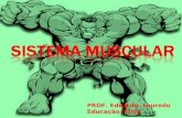 Sistema muscular I