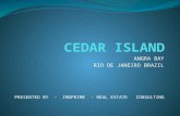 Cedar island slids