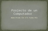 Projecto de um Computador:Prida Ion Realizattor