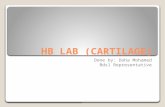 Hb lab (cartilage)