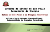 Energia: Milton Flávio Lautenschlager , Subsecretário de Energias Renováveis da Secretaria de Energia do Estado de São Paulo