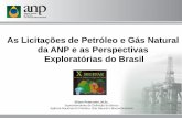 As Licitações de Petróleo e Gás Natural da ANP e as Perspectivas Exploratórias do Brasil