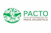 Apresentação Pacto - Comunicação 2011