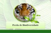 Perda de biodiversidade  cartilha educação_ambiental