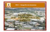 GEO PSC1 - Indústria Zona Franca de Manaus