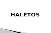 Haletos 3a3
