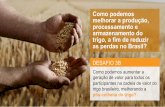Como podemos melhorar a produção, processamento e armazenamento do trigo, a fim de reduzir as perdas no Brasil?