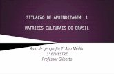Matrizes culturais do brasil