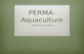 Perma aquaculture3-system examples