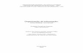 Organização da Informação: uma análise conceitual (2011)