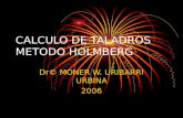 78382424 Calculo Metodo Holmberg