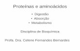Digestao Proteinas Absorcao Metabolismo Aminoacidos