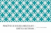 Aula 6 - Princípios de biologia molecular e genética bacteriana.pdf