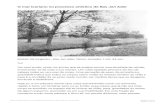 O Mar Icariano de Bas Jan Ader - Revista Carbono #5 | Gravidade
