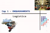 Cap 1.1 - Resposta Logistica Às Alterações No Ambiente