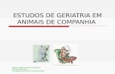 Estudos de Geriatria Em Animais de Companhia Maria Leonora Veras de Mello