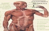 Anatomia humana tomo1.pdf