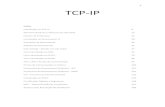 Apostila TCP IP