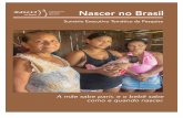 Inquérito Nacional Sobre Parto e Nascimento - Nascer No Brasil