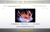 Programa Do Curso de Endodontia 2013 (1)