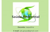 Saúde Ambiental Aula 1 PDF (1)