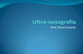 Introdução a Ultra-sonografia
