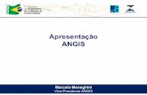 ENOAC 09 Visao Associacoes Marcelo Meneghini